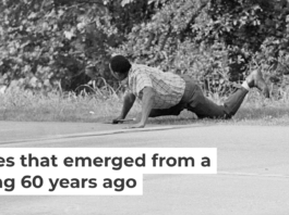 James Meredith looks at Aubrey Norvell, partially hidden behind foliage, after Norvell shot him in Hernando, Miss., on June 6, 1966. AP Photo/Jack Thornell